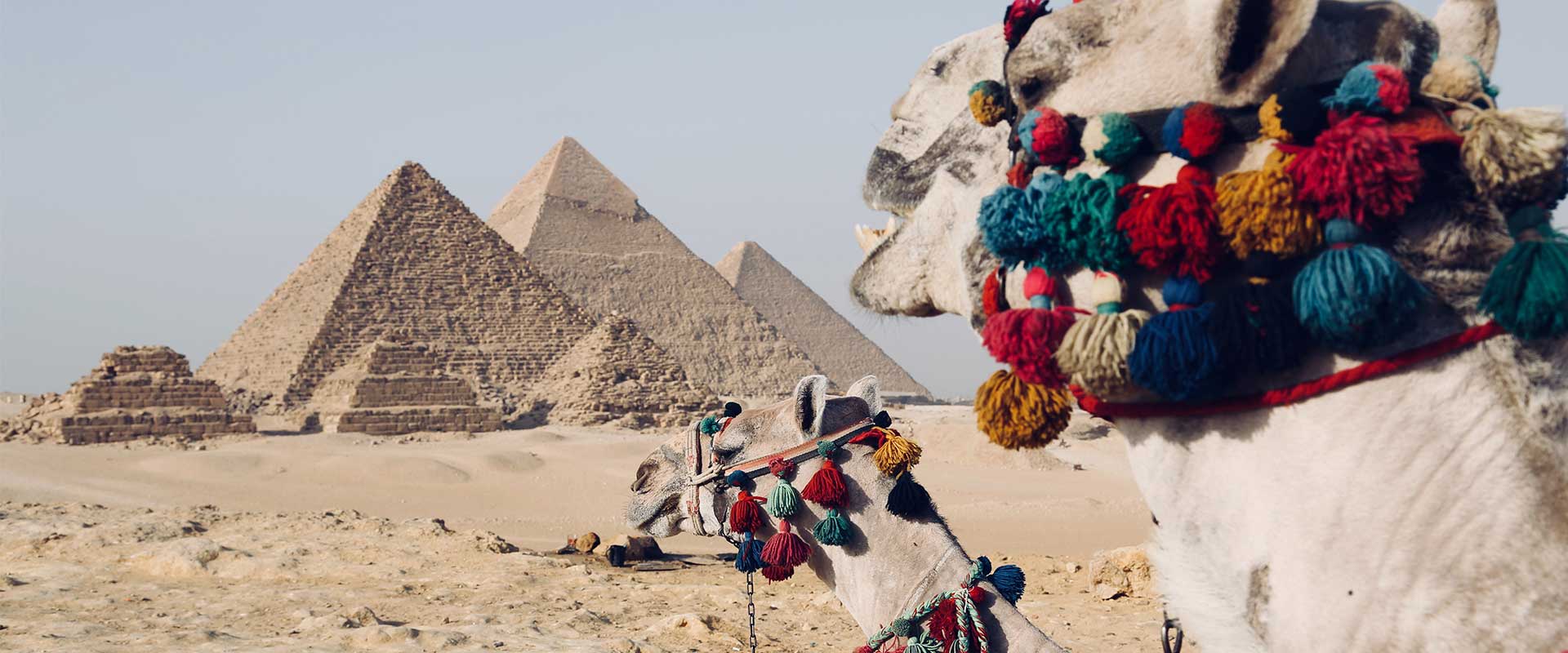 Egypt Packages TrippyGO Tours & Travel