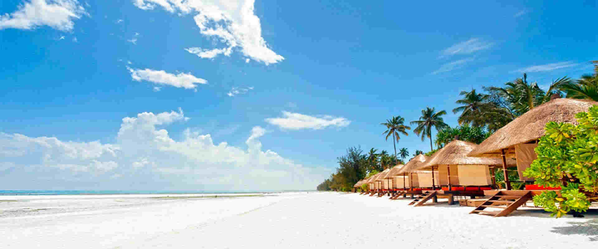 Leading Tours Operator in Kenya TrippyGO Tours & Travel