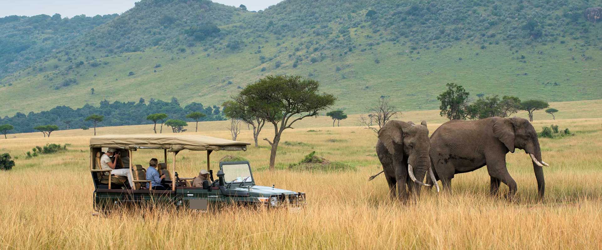 5 Days 4 Nights Nairobi Nakuru Masai Mara Safari Trippygo Tours And Travel