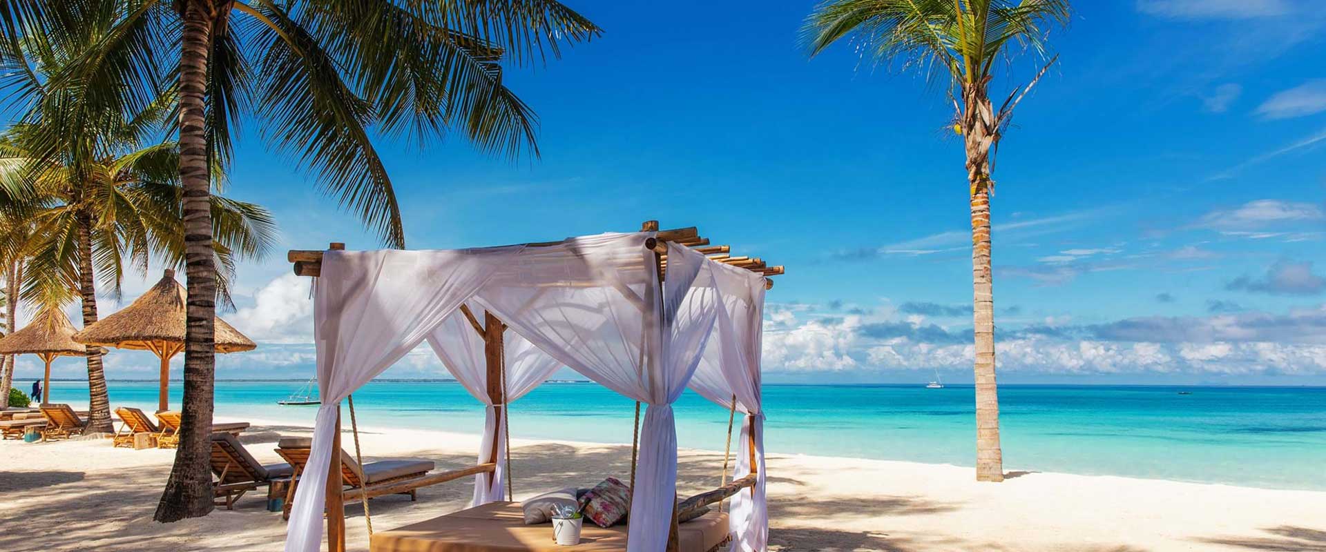 Zanzibar Holiday or Honeymoon Package TrippyGO Tours & Travel