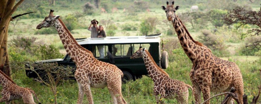 8 Days & 7 Nights Kenya Classic Safari Package