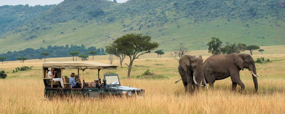 5 Days 4 Nights Nairobi Nakuru Mara Safari