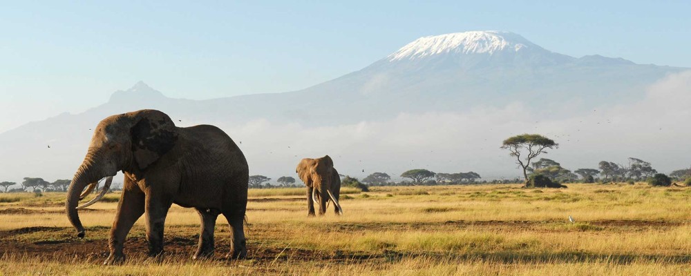 Amboseli 3 Days 2 Nights Safari Deals | Amboseli Safari Packages