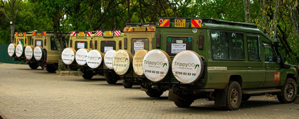 Maasai Mara Group Joining Safari | 3 Days Package