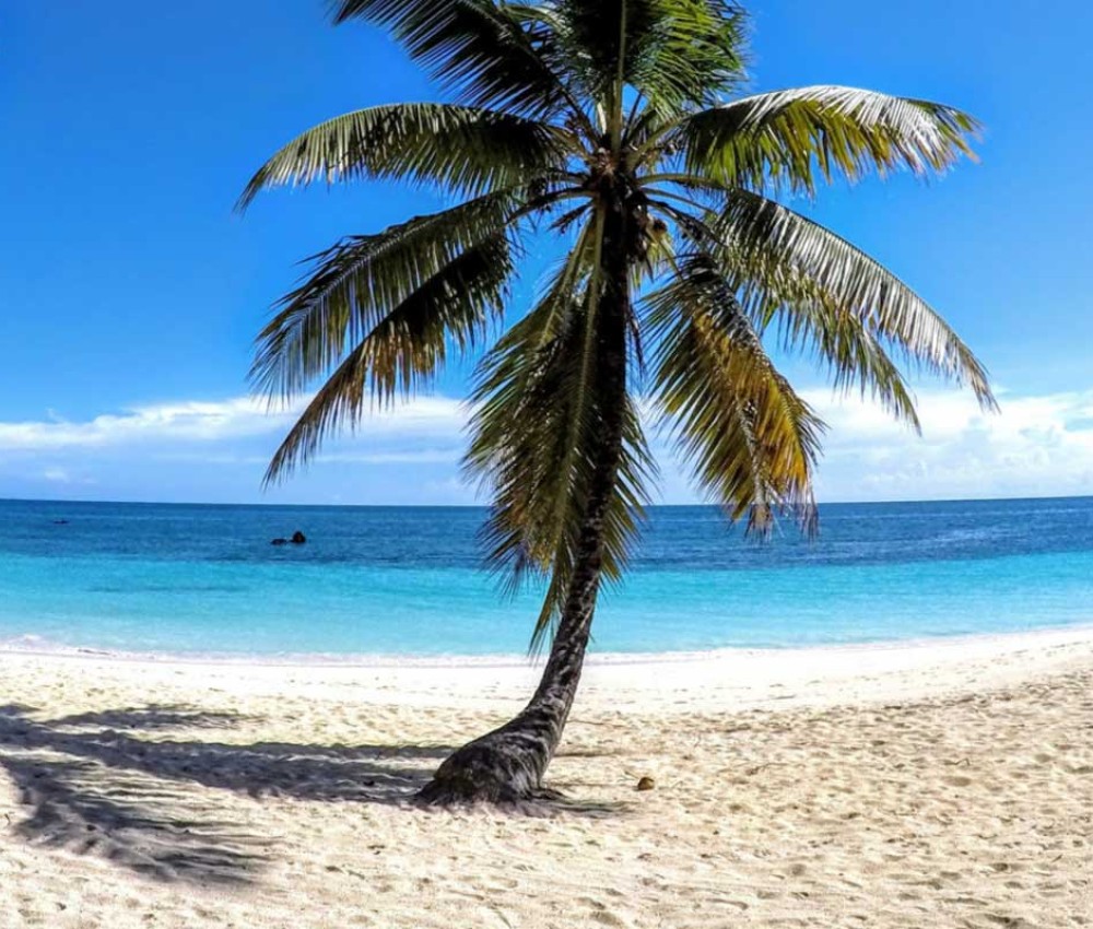 Comoros Packages