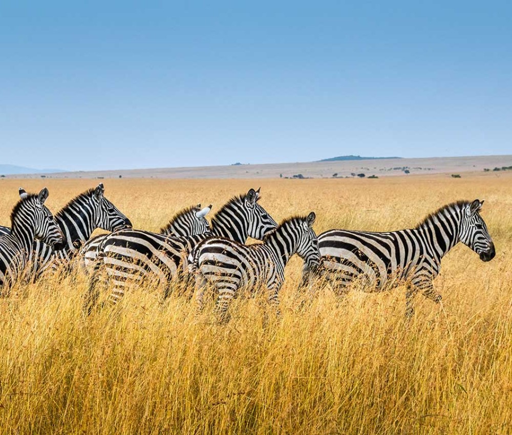 Kenya