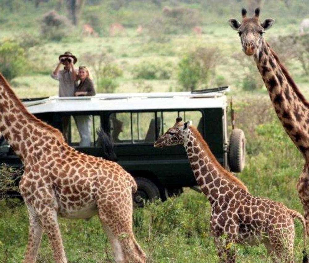 8 Days & 7 Nights Kenya Classic Safari Package