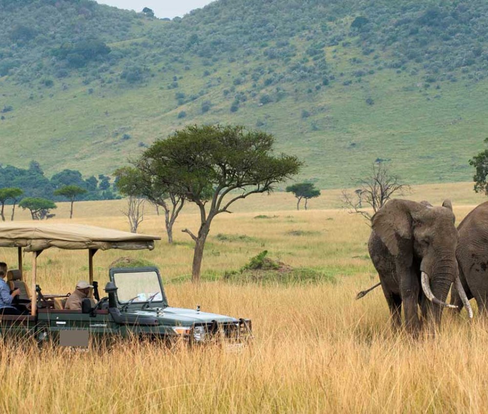 5 Days 4 Nights Nairobi Nakuru Mara Safari