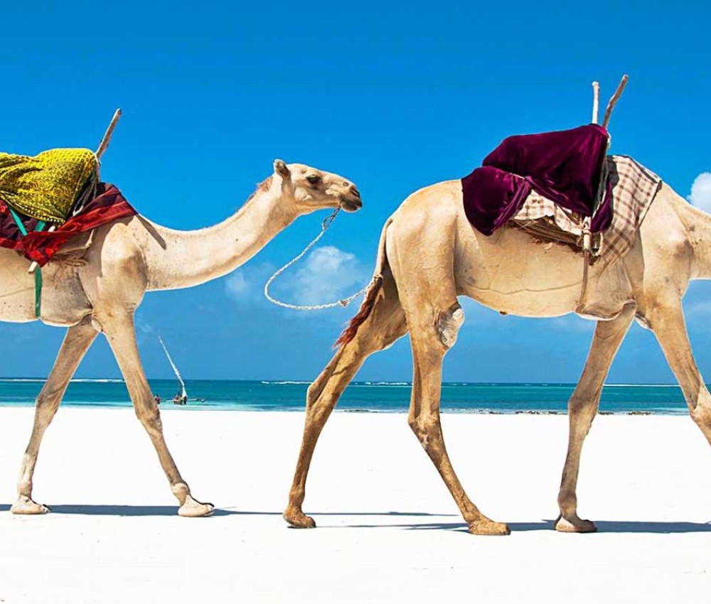 Mombasa 5 days packages SGR packages