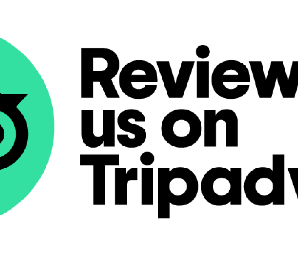 TripAdvisor Reviews