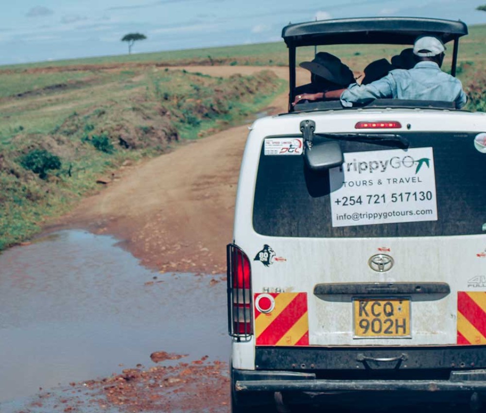 7 Days | 6 Nights Nairobi - Amboseli - Naivasha –Mara Safari