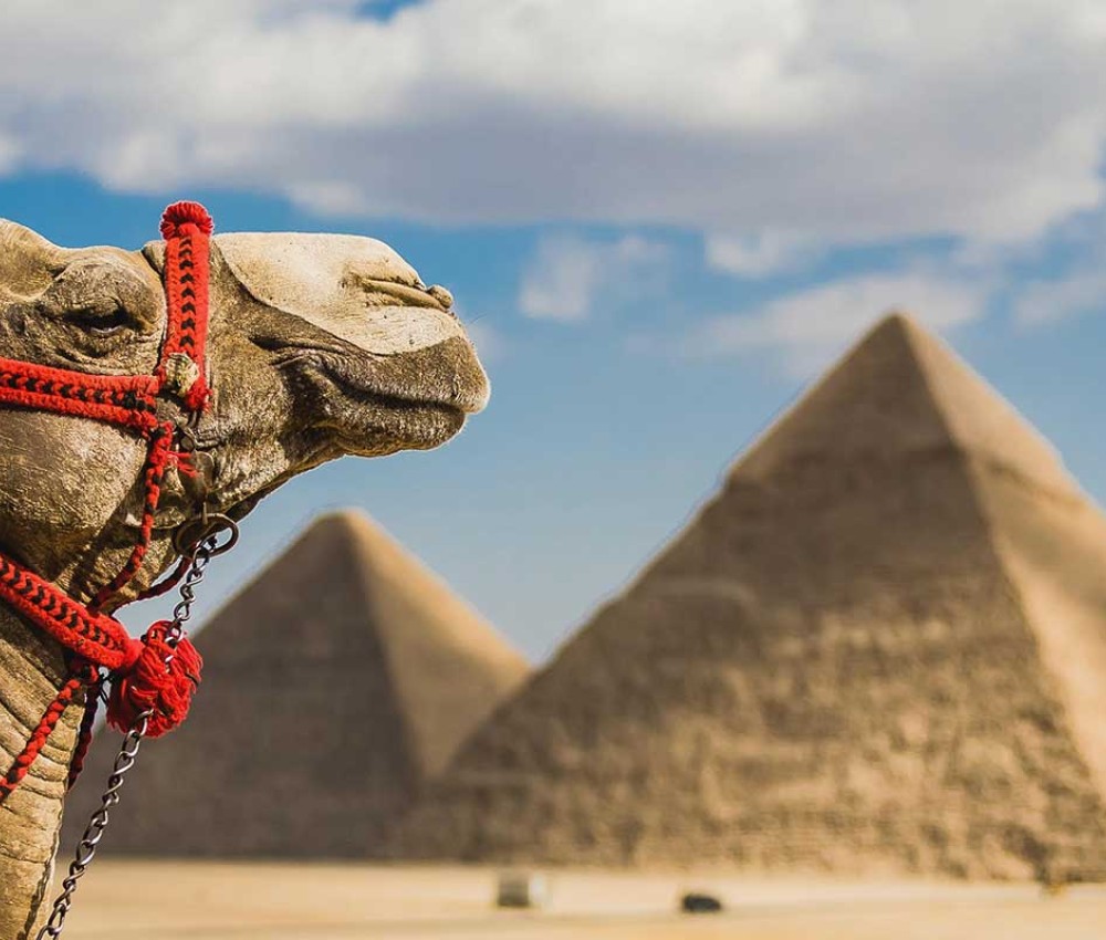 8 Days Cairo Nile Cruise & Hurghada Package | Egypt Tour