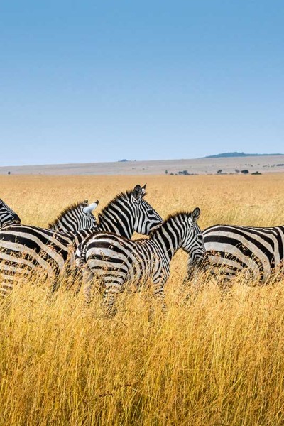 Kenya