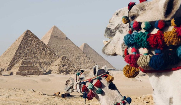 Cairo, Nile Cruise with Alexandria Package