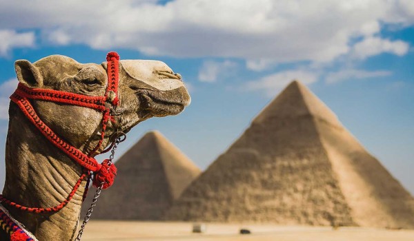 8 Days Cairo Nile Cruise & Hurghada Package | Egypt Tour