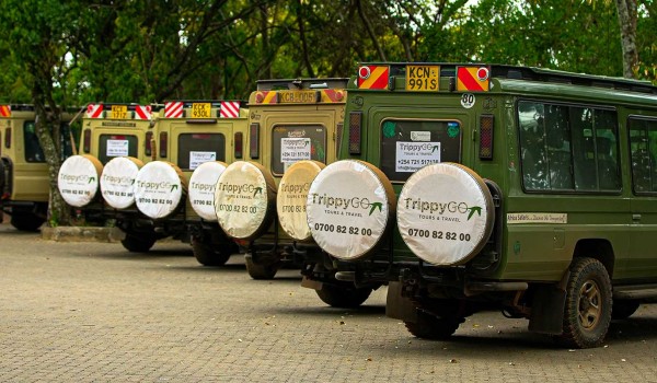 Maasai Mara Group Joining Safari | 3 Days Package
